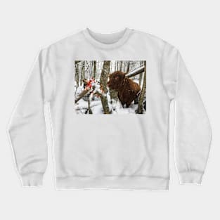 Scottish Highland Cattle Cow 2202 Crewneck Sweatshirt